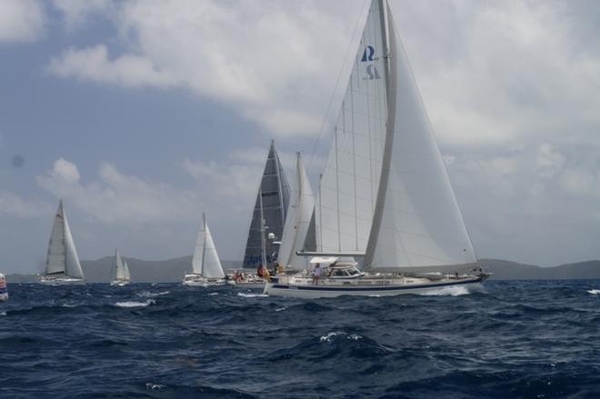 Circe at the start © WCC / Isabelly Tremblay